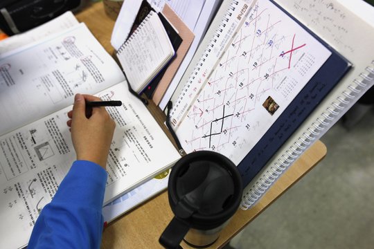 Papasakojo, kokias lygtis naudoja Lietuvos studentai, tirdami politikų elgesį