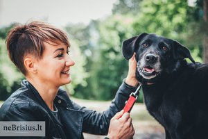 Tai buvo stebuklinga diena: dukra paskambino, nes stotelėje pamatė besiblaškantį šunį
