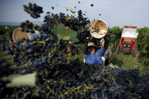 Ant Rusijos „adatos“ sėdinti Gruzija iš gąsdinimų sankcijomis gali išpešti naudos