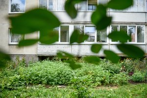 Aukštas pareigas ėjęs vilnietis daugiabučio kaimynus šiurpina savo išmatomis