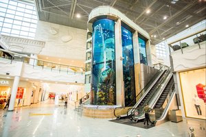 Aukščiausias jūrinis akvariumas Baltijos šalyse pasipildė naujais gyventojais