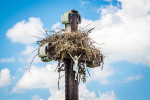 Tragedija lizde: nelaimėliai žmonių pagalbos nelaukė