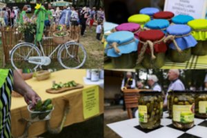 Agurkų šventėje Kėdainiuose jie buvo ir kertami, ir tiko įvairiems žaidimams  