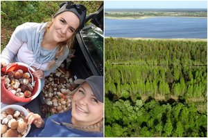 Grybų sezonas prasidėjo – Rokiškio r. per beveik 2 val. rado 187 baravykus