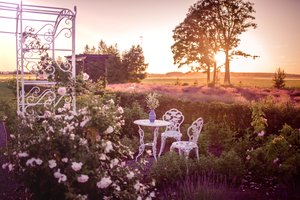 Smalsuoliai būriais traukia į biržiečių ūkį, o šie neatsidžiaugia maloniu verslu