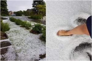 Pasiilgote žiemos? Lietuvoje liepos vidury iškrito sniegas