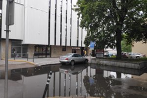 Vilnietė įsiuto: skęstame valdžiai po langais