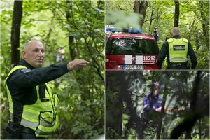 To Vilniuje seniai nebuvo: miško tankmėje iš mašinos išmestas lavonas, jau sulaikyta ir įtariamoji