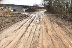 Kelininkai: lėšų neįsisavinimas valstybei kainavo apie 400 mln. eurų