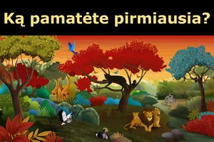 Ką pamatėte pirmiausia? Štai kokią bėdą išduoda jūsų pasąmonė