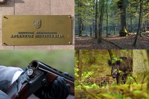 Gamtininkai sukilo: ministerija vėl svarstytų Punios šilo plėtrą, bet dėl medžioklės dar neapsisprendė