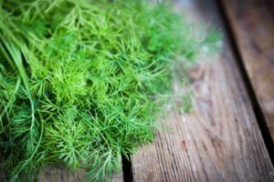 Dviejuose Lietuvoje užaugintų krapų mėginiuose – pesticidų likučiai