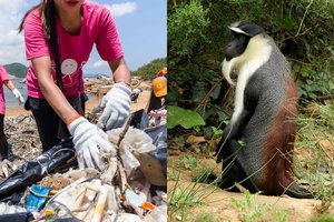 Žmonija sparčiai naikina planetos gyvybę – pasaulyje baigia išnykti dar per 7 000 rūšių