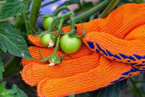 Ir pradedantiems, ir jau patyrusiems sodininkams – ši pagalba pravers visiems