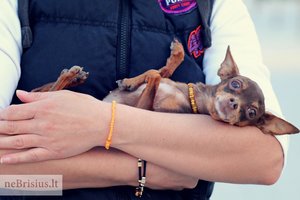 Pamestinukė nenulipa nuo rankų: „Kaip koks pats mažiausias ir maloniausias mūsų mikrobas“