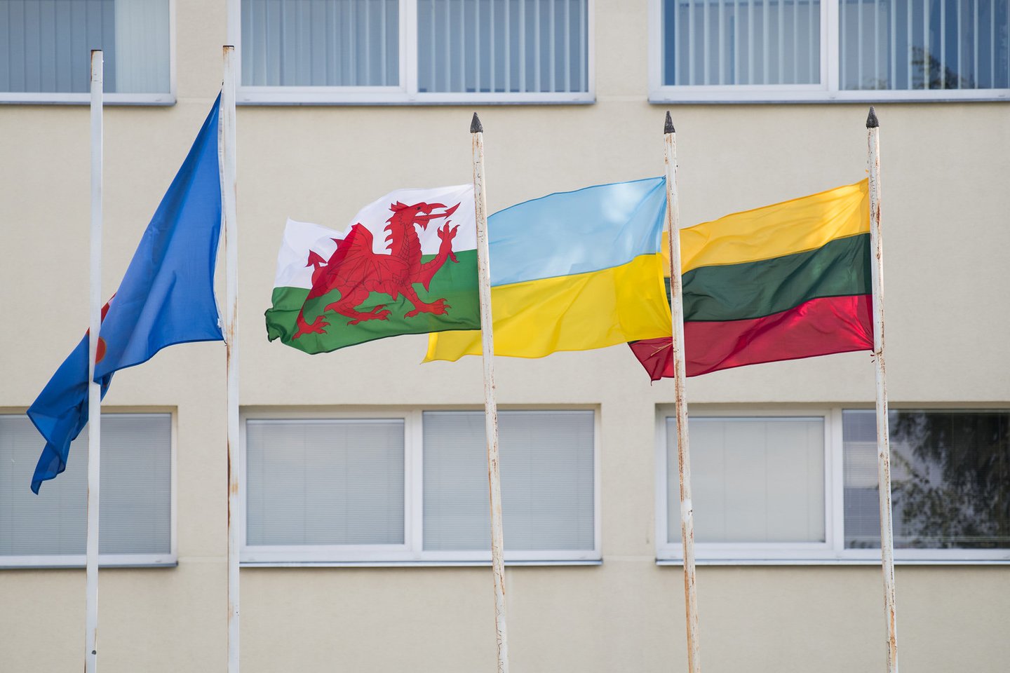 Europos čempionato žolės riedulio mačą Vilniuje žaidė Velso ir Ukrainos jaunieji sportininkai <br> A.Pliadžio nuotr.