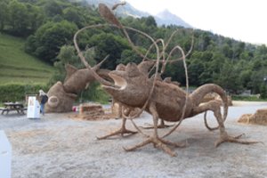 Lietuviškas chameleonas nuskynė laurus Prancūzijoje