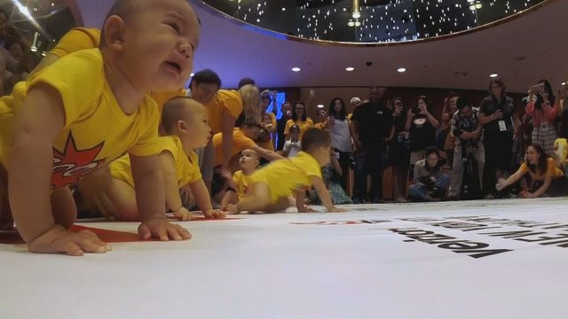 Rekordinė kaitra nesutrukdė kūdikių šliaužimo lenktynėms: „Tai manipuliacijos žaidimas“