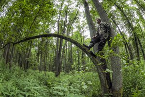 Miško savininkai apie siūlymą riboti įsigyjamus plotus – jis lengvai apeinamas