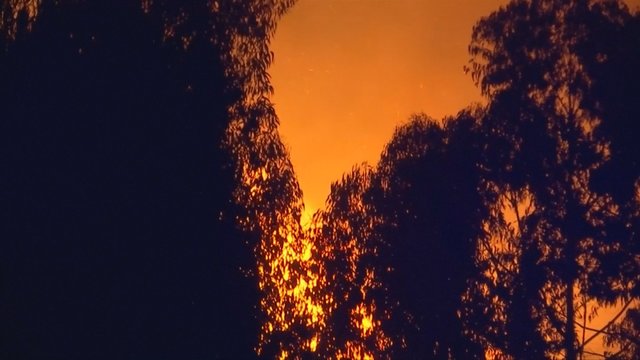 Portugalijos sostinėje evakuojami gyventojai: gaisrai sėja paniką 