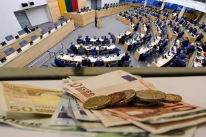 Suskaičiavo, kurie Seimo nariai – didžiausi švaistūnai: pinigus leidžia ne tik automobiliams ir suvenyrams