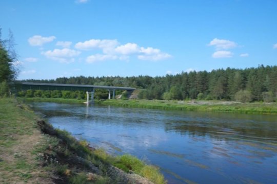 Kaip sausra pakenkė vandens telkiniams ir jų gyventojams?