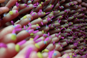 Perspėjo dėl pavojingų infekcijų: artimiausios dienos gali būti kritinės