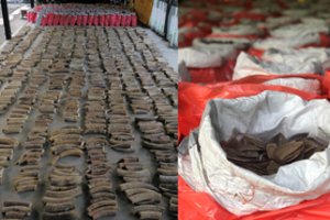 Singapūre konfiskuota didžiausia miesto istorijoje nelegalaus dramblio kaulo siunta