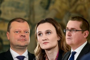 Kas liko nutylėta S. Skvernelio pašonėje: tikrasis planas ir pritarimo nesulaukę žingsniai