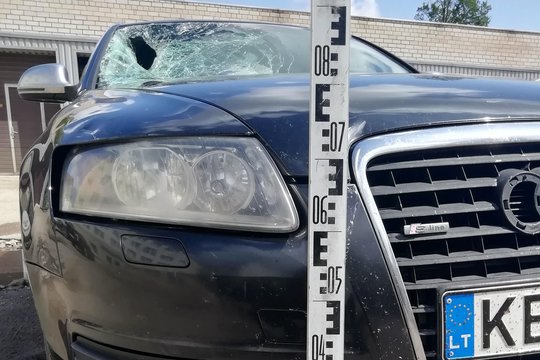 Pėsčiųjų perėjoje 18-mečio vairuotojo partrenktas 90-metis mirė ligoninėje