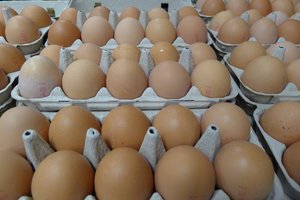 Kiaušinių dydžiai bus ženklinami kitaip