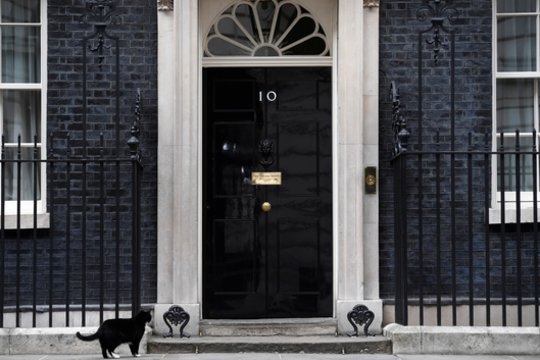 Žvilgsnis už Dauningo gatvės 10-ojo namo durų, kur priimami svarbiausi sprendimai