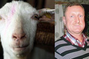 Skandalingo zoologijos sodo savininko žinia skundikams: „Tą ožką užmigdėm, tegu atvažiuoja mėsos“