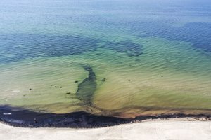 Įspėja dėl klastingos bakterijos Baltijos jūroje: lipti į vandenį pavojinga