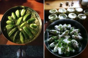 Lengvai paruošiami ir traškūs rauginti agurkai žiemai