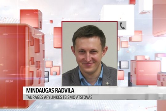 Teismo atstovas pasakė, kas lėmė, kad įtariamasis 17-metės sumušimu sulaukė malonės