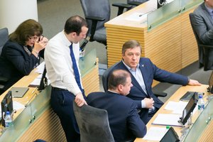 Įvertino derybas dėl EK posto: valdantieji nelabai susigaudo