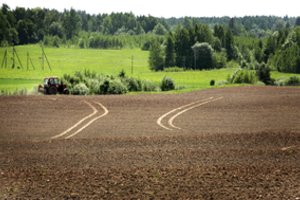 Smulkiesiems ūkininkams – gera žinia dėl paramos