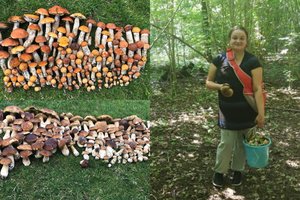 Rado vietą, kur grybai dabar dygsta kaip pasiutę: laimikį namo neša šimtais