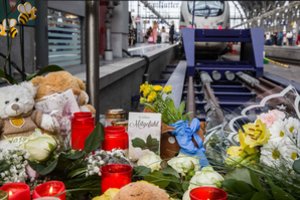 Vokiečių berniuką po traukiniu nustūmęs vyras slapstėsi nuo Šveicarijos policijos