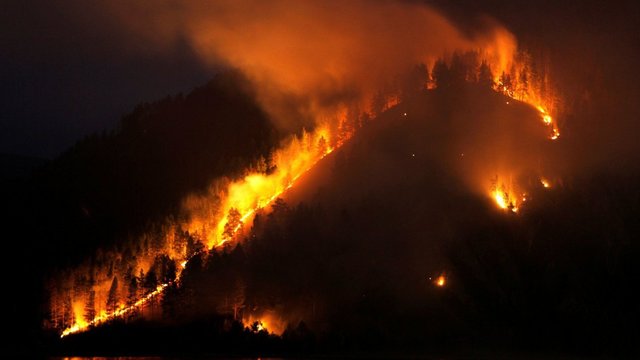 Ekspertai įspėja: miškų gaisrai Sibire kelia grėsmę viso pasaulio klimatui