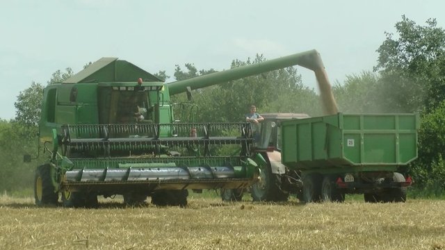Ūkininkai įspėja, kas brangs dėl prasto derliaus