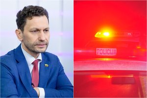 Seimo nario dukrytę partrenkė ir sunkiai sužalojo girtas vairuotojas