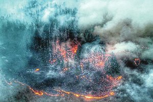 Gaisrai Sibire ėmė kelti grėsmę ir Maskvai: dega milijonai hektarų miškų