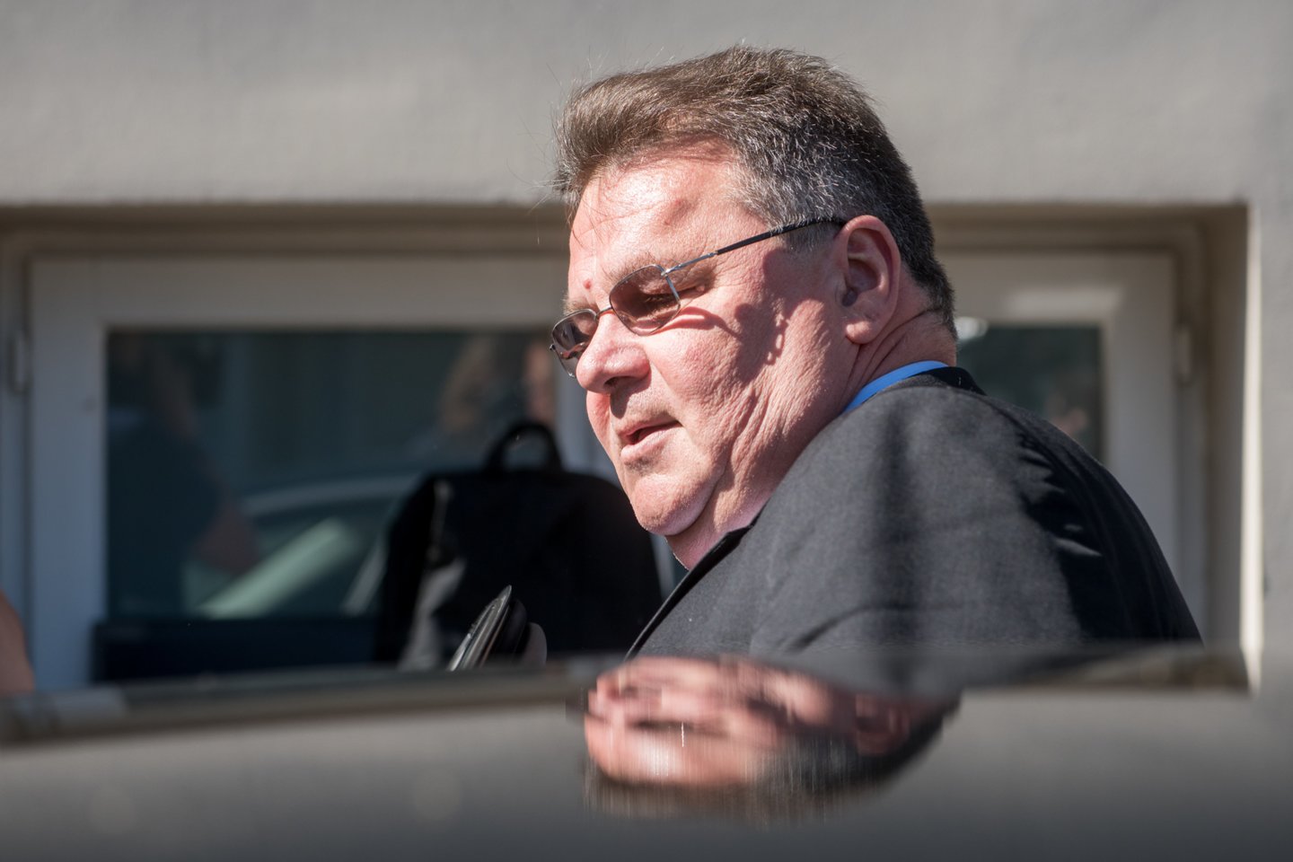 L.Linkevičius.