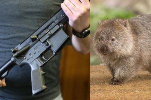 Iškrypėliškos turtuolių pramogos – suvarpyti reto gyvūno kūną kovinio ginklo kulkomis