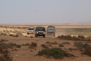 Lietuviai startuos didžiausiose pasaulyje labdaros lenktynėse senąja Dakaro trasa