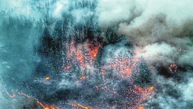 Milžiniški gaisrai Rusijoje grasina visam pasauliui: D. Trumpas kreipėsi į Maskvą