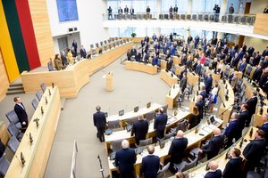 Dėl trijų Seimo nario mandatų kovos 27 kandidatai