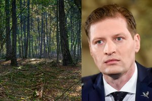 Aplinkos ministras apsisprendė dėl Punios šilo likimo